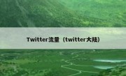 Twitter流量（twitter大陆）