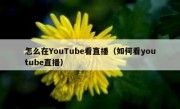 怎么在YouTube看直播（如何看youtube直播）