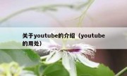 关于youtube的介绍（youtube的用处）