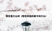 樱花是什么树（樱花树结的果子叫什么）