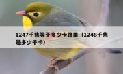 1247千焦等于多少卡路里（1248千焦是多少千卡）