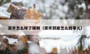 派币怎么样了视频（派币到底怎么回事儿）