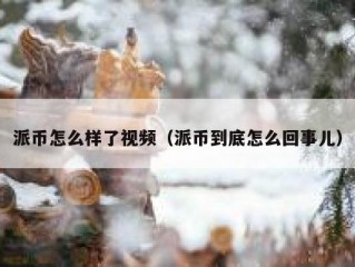 派币怎么样了视频（派币到底怎么回事儿）