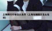 上海限行行驶怎么处罚（上海车辆限行怎么处罚）