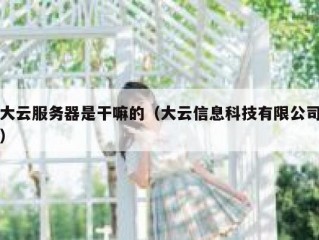 大云服务器是干嘛的（大云信息科技有限公司）