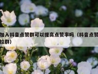 加入抖音点赞群可以提高点赞率吗（抖音点赞拉群）