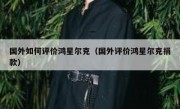 国外如何评价鸿星尔克（国外评价鸿星尔克捐款）