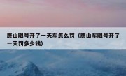 唐山限号开了一天车怎么罚（唐山车限号开了一天罚多少钱）