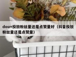 dou+投放粉丝量还是点赞量好（抖音投放粉丝量还是点赞量）