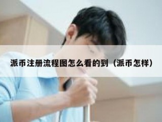 派币注册流程图怎么看的到（派币怎样）