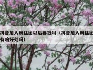 抖音加入粉丝团以后要钱吗（抖音加入粉丝团有啥好处吗）