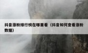 抖音涨粉排行榜在哪里看（抖音如何查看涨粉数据）