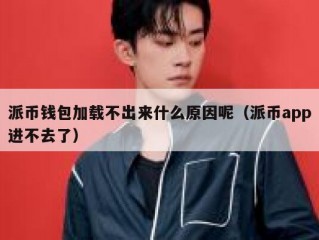 派币钱包加载不出来什么原因呢（派币app进不去了）