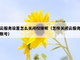 云服务设置怎么关闭权限呢（怎样关闭云服务账号）