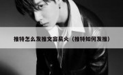 推特怎么发推文容易火（推特如何发推）