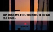 国内服务器龙头上市公司有哪些公司（服务器行业龙头股）