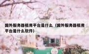 国外服务器租用平台是什么（国外服务器租用平台是什么软件）