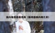国内服务器服务商（服务器国内哪几家）