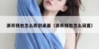派币钱包怎么弄到桌面（派币钱包怎么设置）
