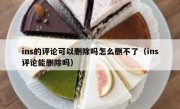 ins的评论可以删除吗怎么删不了（ins评论能删除吗）