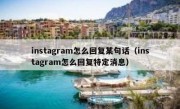 instagram怎么回复某句话（instagram怎么回复特定消息）
