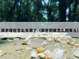 派币现在怎么交易了（派币到底怎么回事儿）