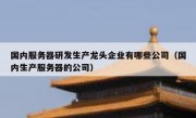 国内服务器研发生产龙头企业有哪些公司（国内生产服务器的公司）
