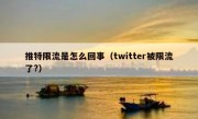 推特限流是怎么回事（twitter被限流了?）