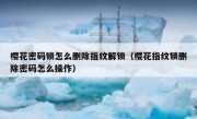 樱花密码锁怎么删除指纹解锁（樱花指纹锁删除密码怎么操作）