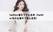 twitter看不了个人主页（twitter为什么看不了别人主页）