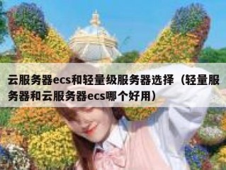 云服务器ecs和轻量级服务器选择（轻量服务器和云服务器ecs哪个好用）