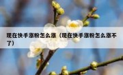 现在快手涨粉怎么涨（现在快手涨粉怎么涨不了）