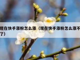 现在快手涨粉怎么涨（现在快手涨粉怎么涨不了）