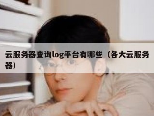 云服务器查询log平台有哪些（各大云服务器）