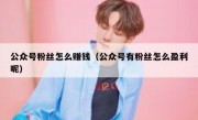 公众号粉丝怎么赚钱（公众号有粉丝怎么盈利呢）