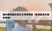 国内服务器的龙头公司有哪些（服务器龙头股有哪些）