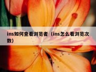 ins如何查看浏览者（ins怎么看浏览次数）