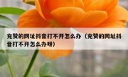 充赞的网址抖音打不开怎么办（充赞的网址抖音打不开怎么办呀）