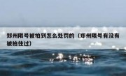 郑州限号被拍到怎么处罚的（郑州限号有没有被拍住过）