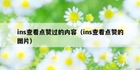 ins查看点赞过的内容（ins查看点赞的图片）