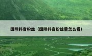 国际抖音粉丝（国际抖音粉丝量怎么看）