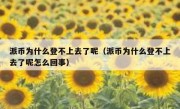 派币为什么登不上去了呢（派币为什么登不上去了呢怎么回事）