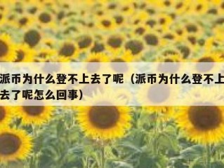 派币为什么登不上去了呢（派币为什么登不上去了呢怎么回事）