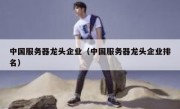 中国服务器龙头企业（中国服务器龙头企业排名）