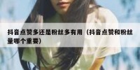 抖音点赞多还是粉丝多有用（抖音点赞和粉丝量哪个重要）