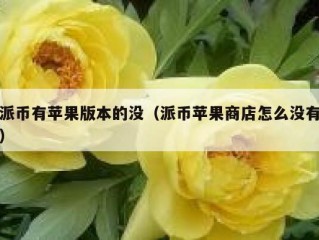 派币有苹果版本的没（派币苹果商店怎么没有）