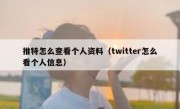 推特怎么查看个人资料（twitter怎么看个人信息）