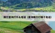 限行查询打什么电话（查询限行打哪个电话）