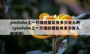 youtube上一万播放量能有多少收入啊（youtube上一万播放量能有多少收入啊视频）