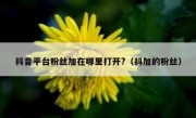 抖音平台粉丝加在哪里打开?（抖加的粉丝）